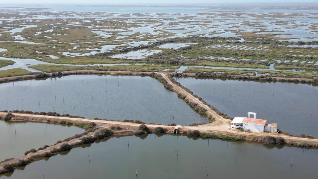 Casa de Campo Herdade Dos Salgados Do Fialho Faro
